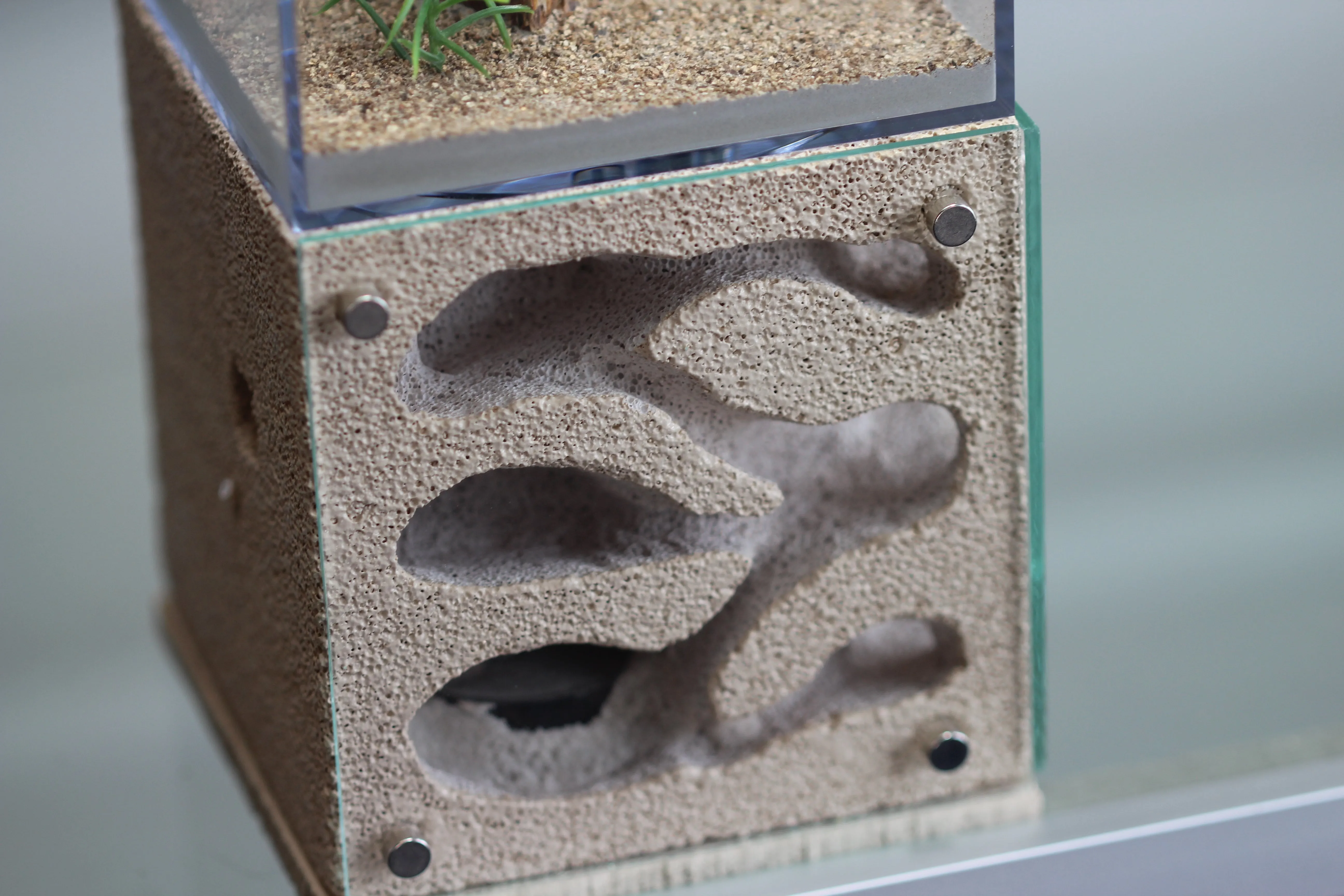 Casita (Custom Bone 4)