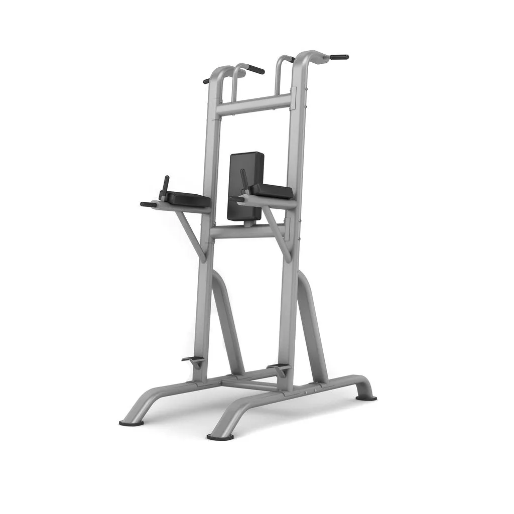 Chin/Dip/Knee Raise - Grey or Black