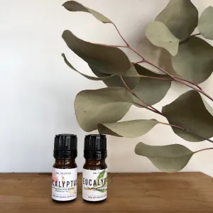 Eucalyptus Essential Oil