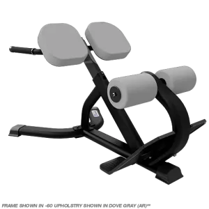 NAUTILUS INSTINCT 45 DEGREE BACK EXTENSION BENCH